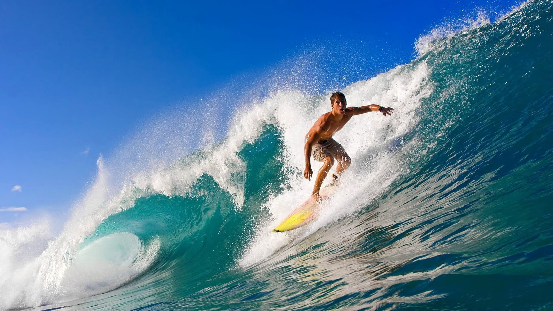 “数据分析助力攻防体系创新——未来棒球战术的科技底蕴”，棒球领域