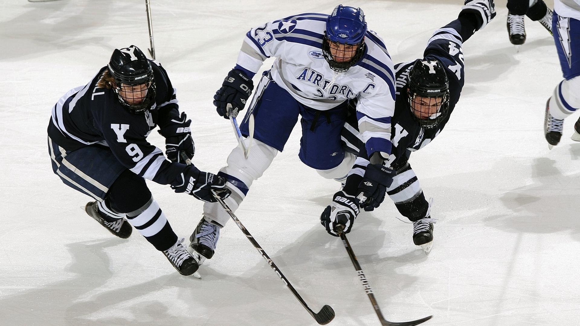 最受欢迎的赛道top10榜单出炉,最火赛道